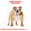 Royal Canin Breed Health Nutrition Bulldog Adult Dry Dog Food 12 KG