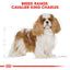 Royal Canin Breed Health Nutrition Cavalier King Charles Adult Dry Dog Food 1.5 KG
