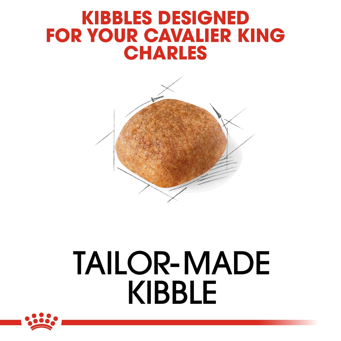 Royal Canin Breed Health Nutrition Cavalier King Charles Adult Dry Dog Food 1.5 KG