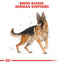 Royal Canin Breed Health Nutrition German Shepherd Adult Dry Dog Food - 11 kg