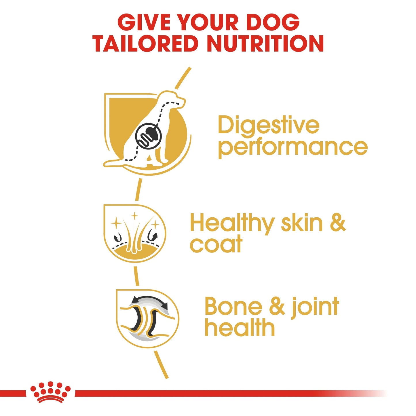 Royal Canin Breed Health Nutrition German Shepherd Adult Dry Dog Food - 11 kg
