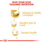 Royal Canin Breed Health Nutrition Jack Russell Adult Dry Dog Food 1.5 KG