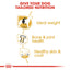 Royal Canin Breed Health Nutrition Labrador Adult Dry Dog Food - 12 kg