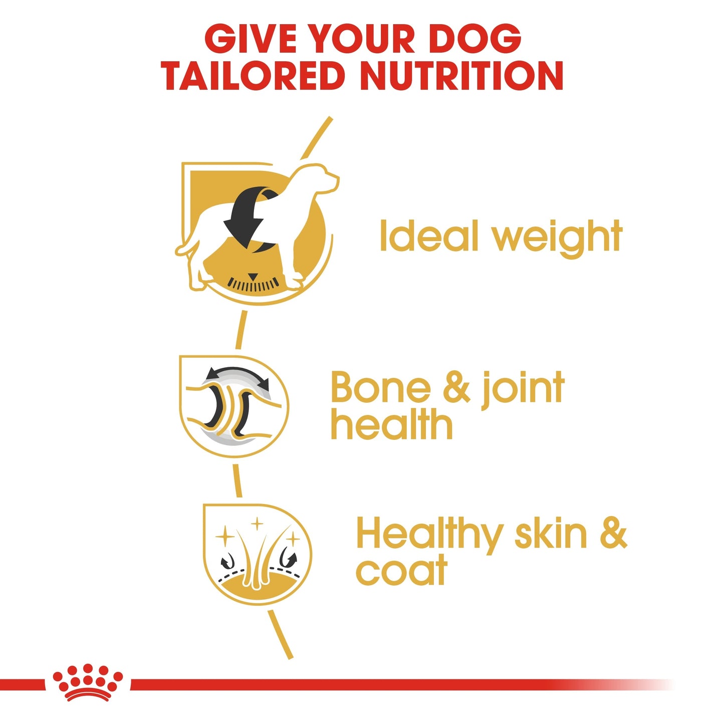 Royal Canin Breed Health Nutrition Labrador Adult Dry Dog Food - 12 kg