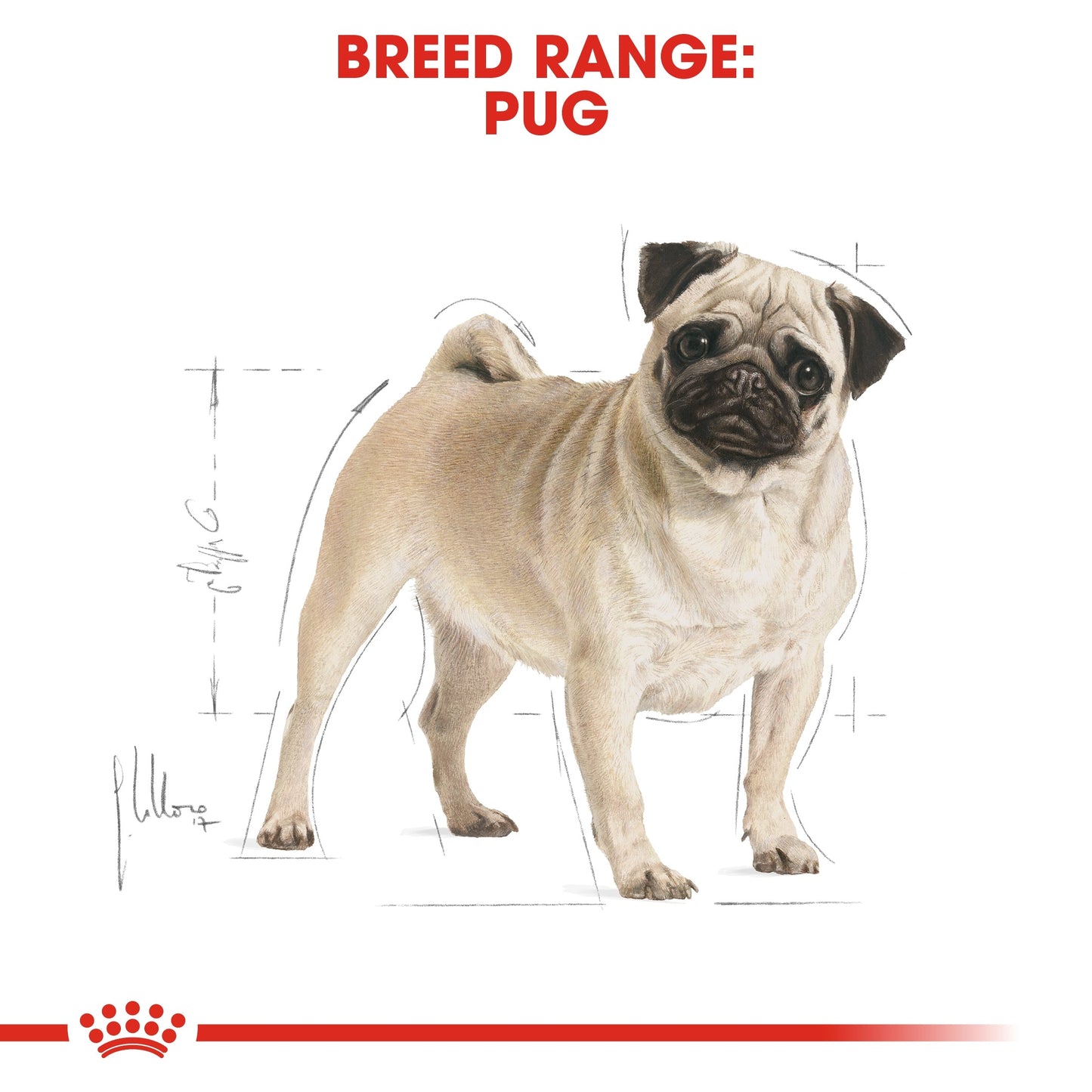 Royal Canin Breed Health Nutrition Pug Adult Dry Dog Food