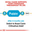 Royal Canin Breed Health Nutrition Chihuahua Puppy Dry Food 1.5 KG
