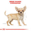 Royal Canin Breed Health Nutrition Chihuahua Puppy Dry Food 1.5 KG