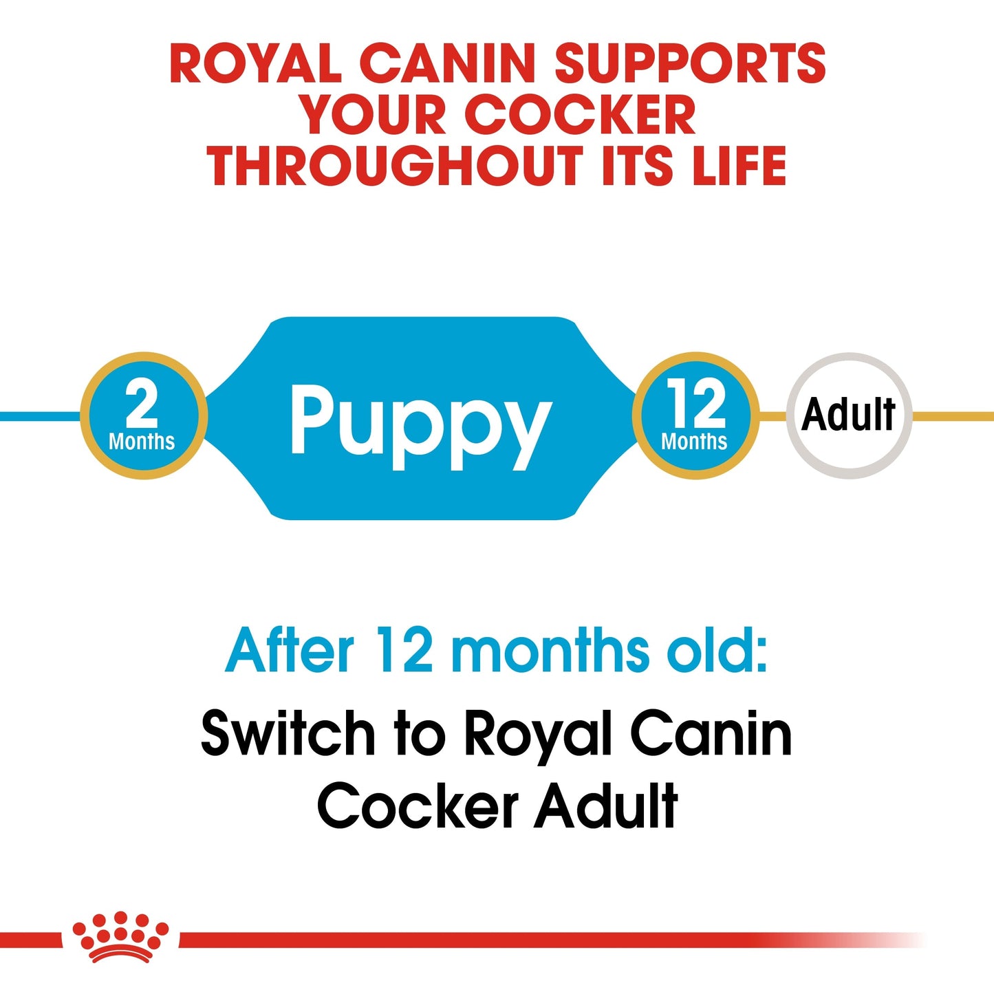 Royal Canin Breed Health Nutrition Cocker Puppy Dry Food 3 KG