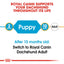 Royal Canin Breed Health Nutrition Dachshund Puppy Dry Food 1.5 KG