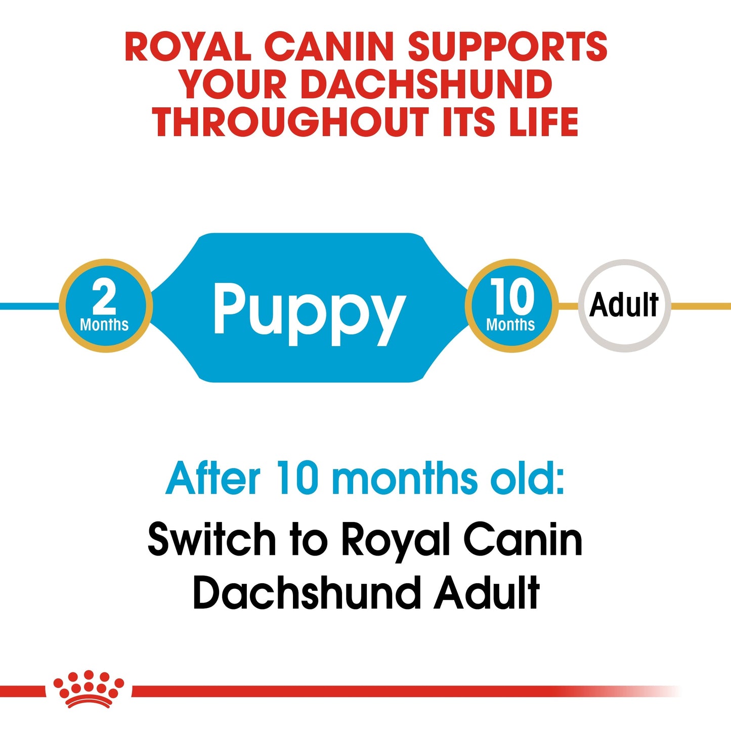 Royal Canin Breed Health Nutrition Dachshund Puppy Dry Food 1.5 KG