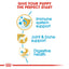 Royal Canin Breed Health Nutrition Dachshund Puppy Dry Food 1.5 KG