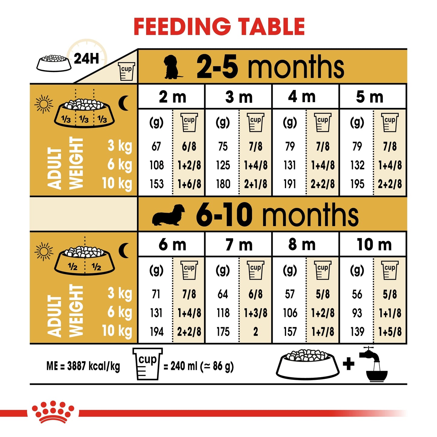 Royal Canin Breed Health Nutrition Dachshund Puppy Dry Food 1.5 KG