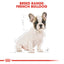 Royal Canin Breed Health Nutrition French Bulldog Puppy Dry Food 3 KG