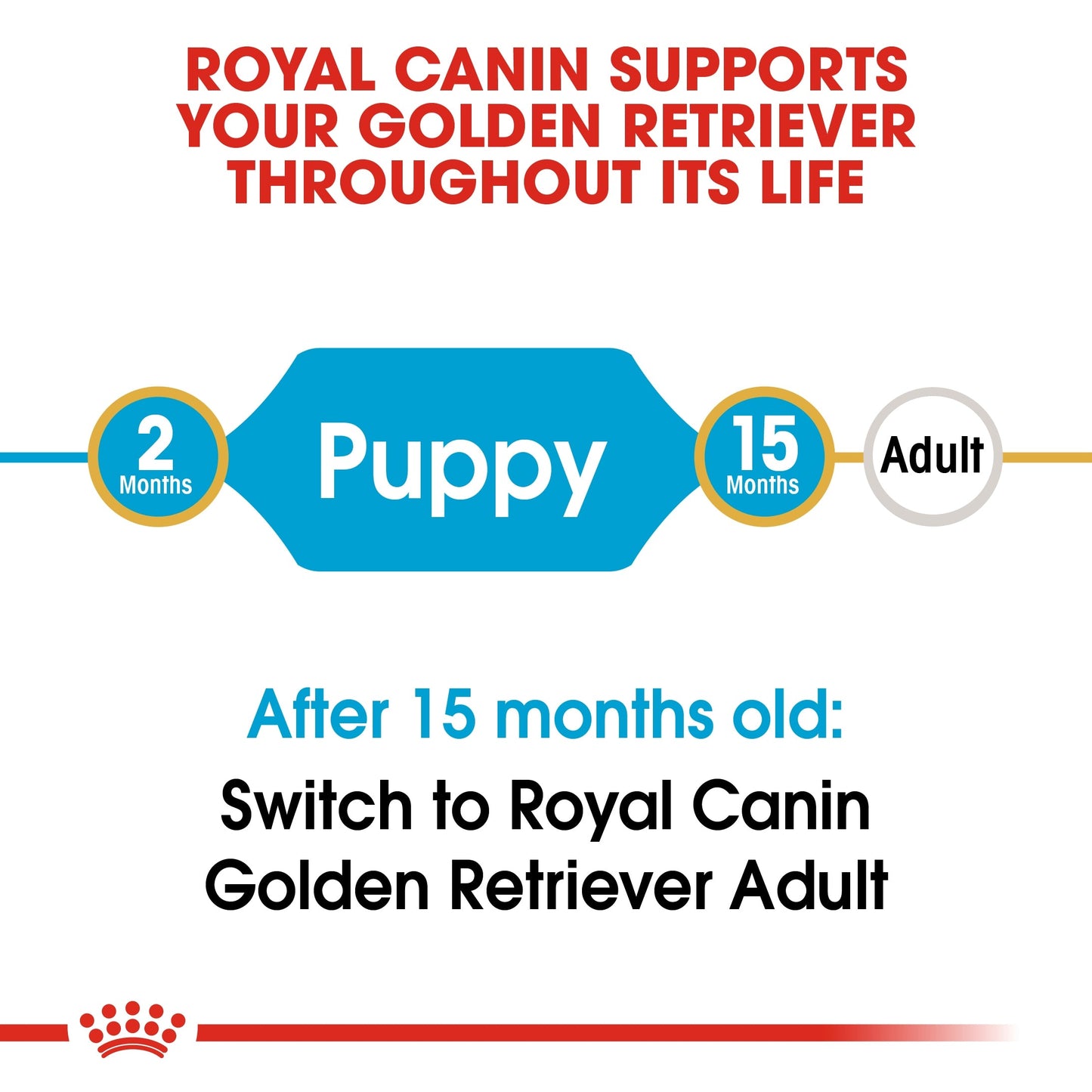 Royal Canin Breed Health Nutrition Golden Retriever Puppy Dry Food 12 KG