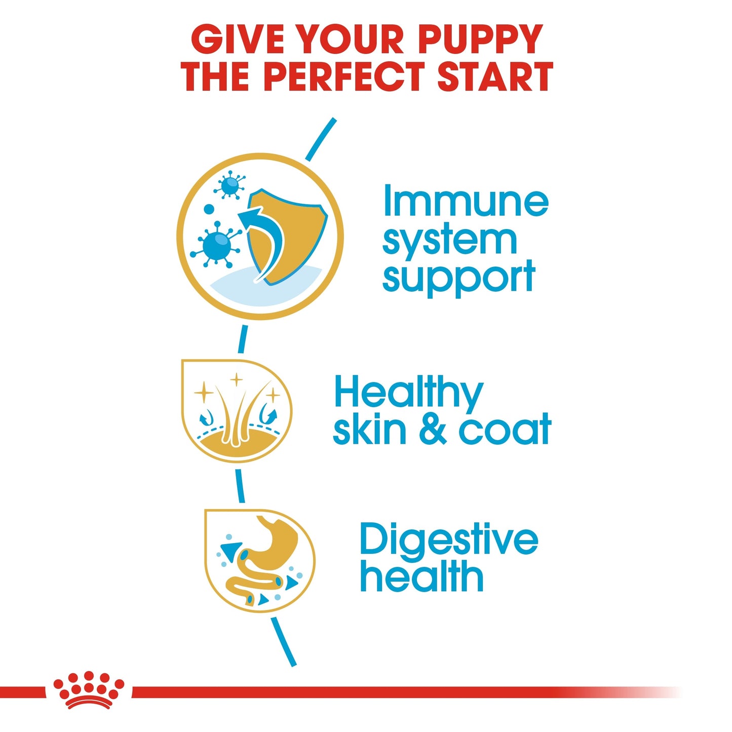 Royal Canin Breed Health Nutrition Golden Retriever Puppy Dry Food 12 KG