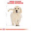 Royal Canin Breed Health Nutrition Golden Retriever Puppy Dry Food 12 KG