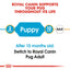 Royal Canin Breed Health Nutrition Pug Puppy Dry Food 1.5 KG