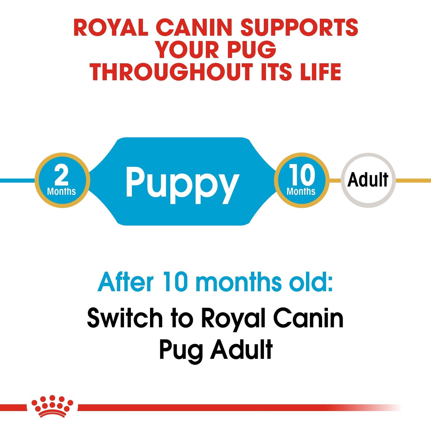 Royal Canin Breed Health Nutrition Pug Puppy Dry Food 1.5 KG