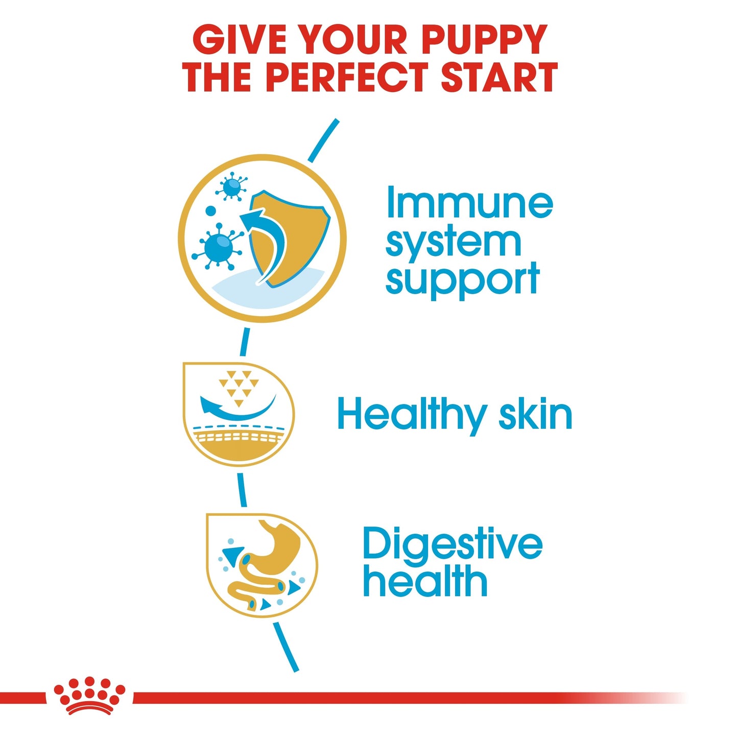 Royal Canin Breed Health Nutrition Pug Puppy Dry Food 1.5 KG