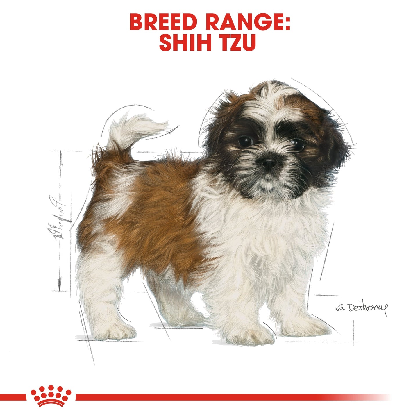 Royal Canin Breed Health Nutrition Shih Tzu Puppy Dry Food 1.5 KG