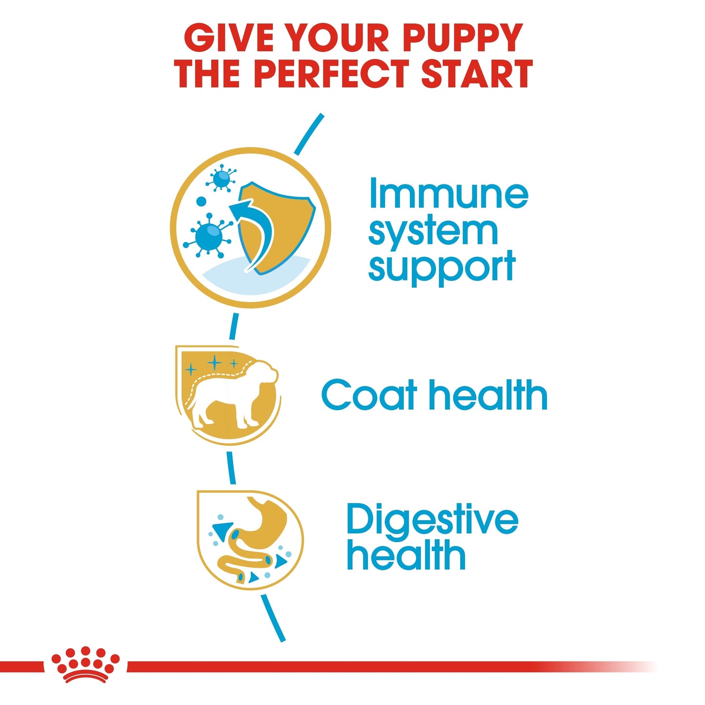 Royal Canin Breed Health Nutrition Yorkshire Puppy Dry Dog Food 1.5 KG