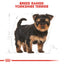 Royal Canin Breed Health Nutrition Yorkshire Puppy Dry Dog Food 1.5 KG