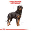 Royal Canin Breed Health Nutrition Rottweiler Adult Dry Dog Food 12 KG