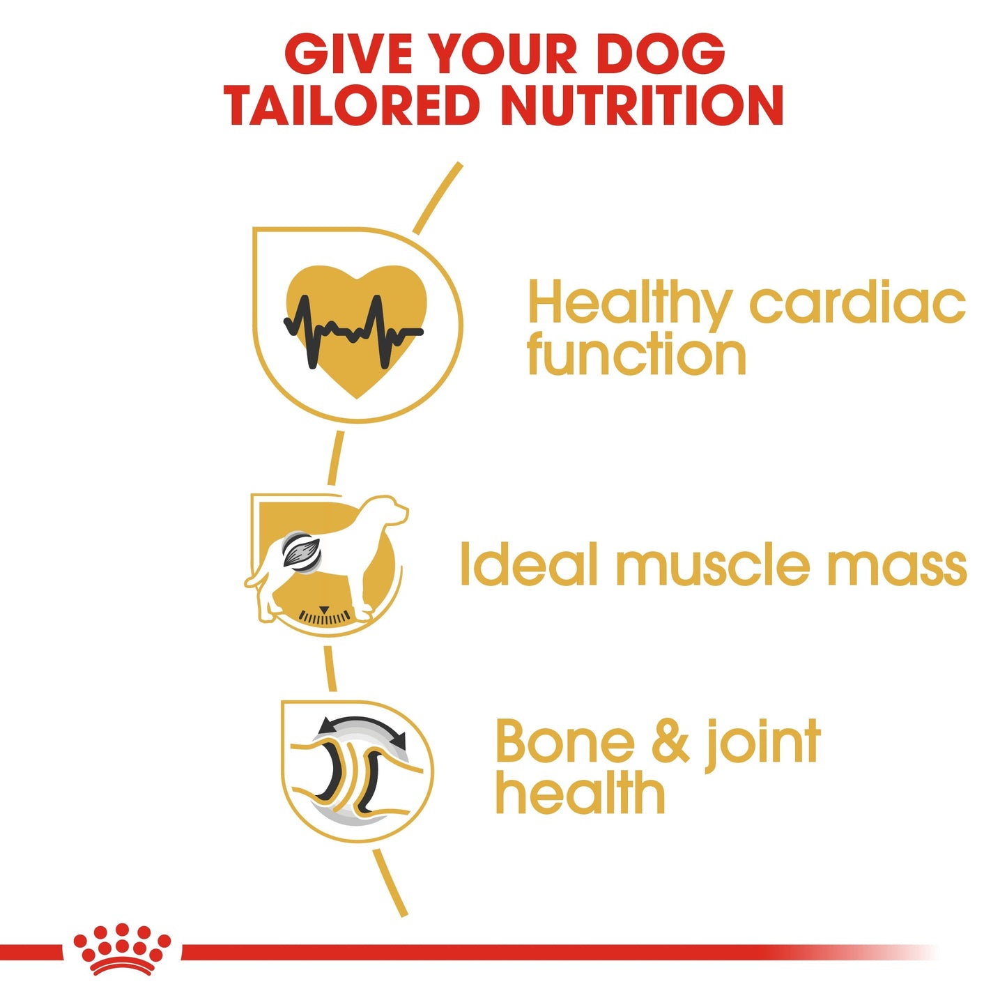 Royal Canin Breed Health Nutrition Rottweiler Adult Dry Dog Food 12 KG