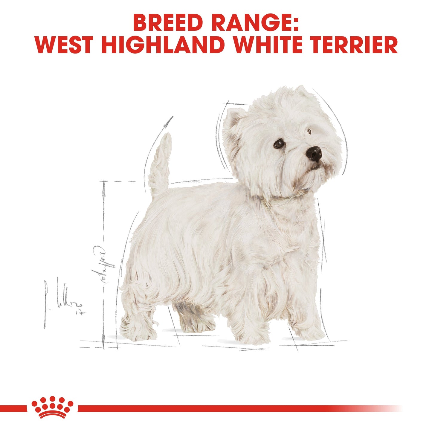 Royal Canin Breed Health Nutrition Westie Adult Dry Dog Food 3 KG