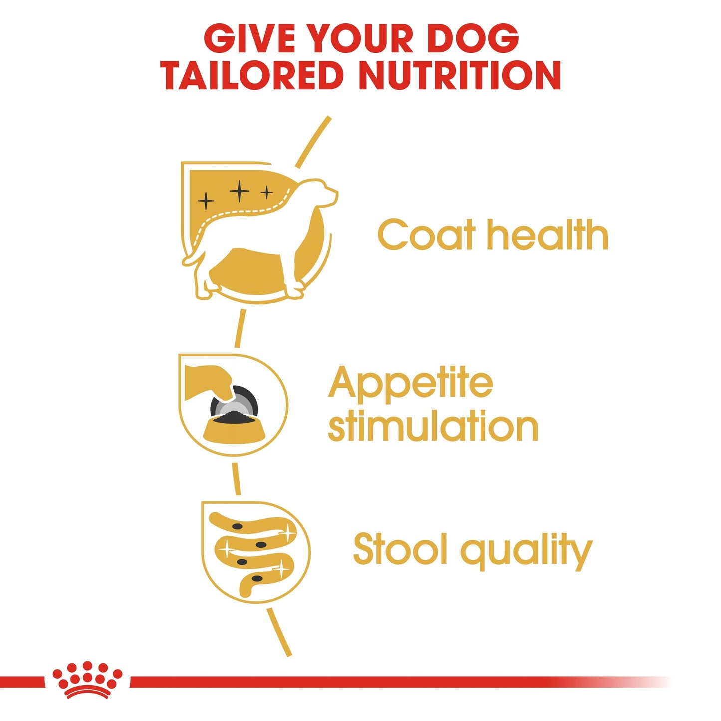 Royal Canin Breed Health Nutrition Yorkshire Adult (Dog Wet Food - Pouches)