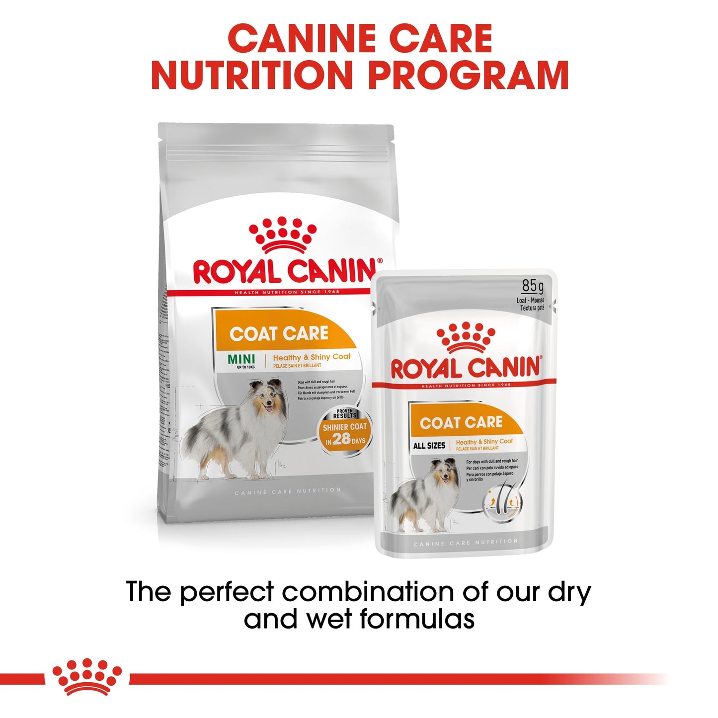 Royal Canin Canine Care Nutrition Coat Care (Dog Wet Food - Pouches)