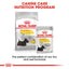 Royal Canin Canine Care Nutrition Dermacomfort (Dog Wet Food - Pouches)