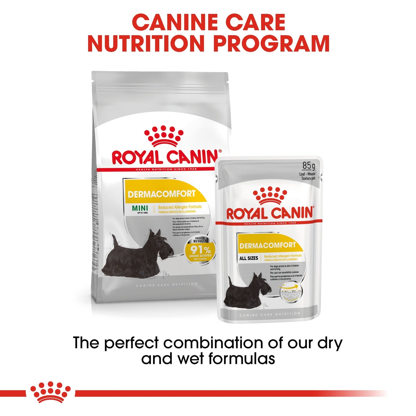 Royal Canin Canine Care Nutrition Dermacomfort (Dog Wet Food - Pouches)