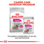 Royal Canin Canine Care Nutrition Exigent (Dog Wet Food - Pouches)