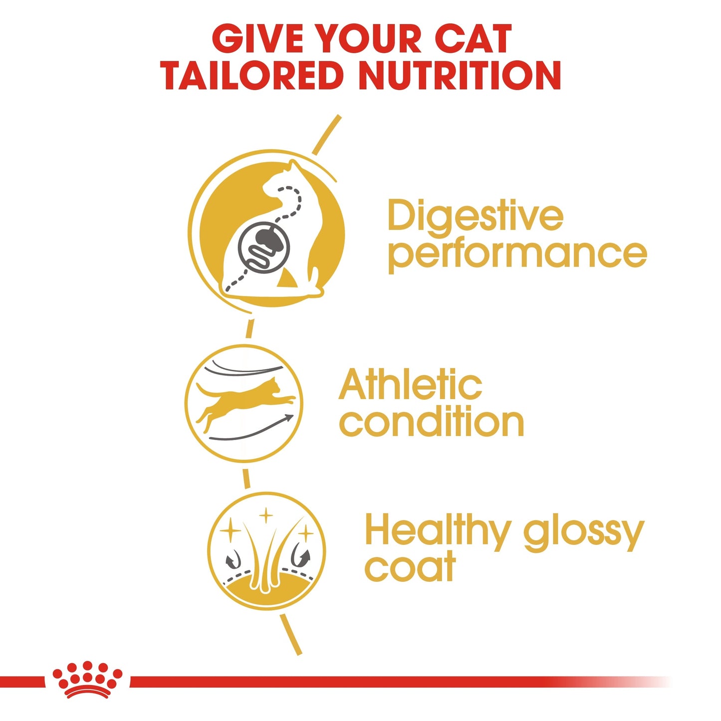 Royal Canin Feline Breed Nutrition Bengal Adult Cat Dry Food 2 KG