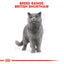 Royal Canin Feline Breed Nutrition British Shorthair Adult Dry Cat Food - 4kg