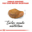 Royal Canin Feline Breed Nutrition British Shorthair Adult Dry Cat Food - 4kg