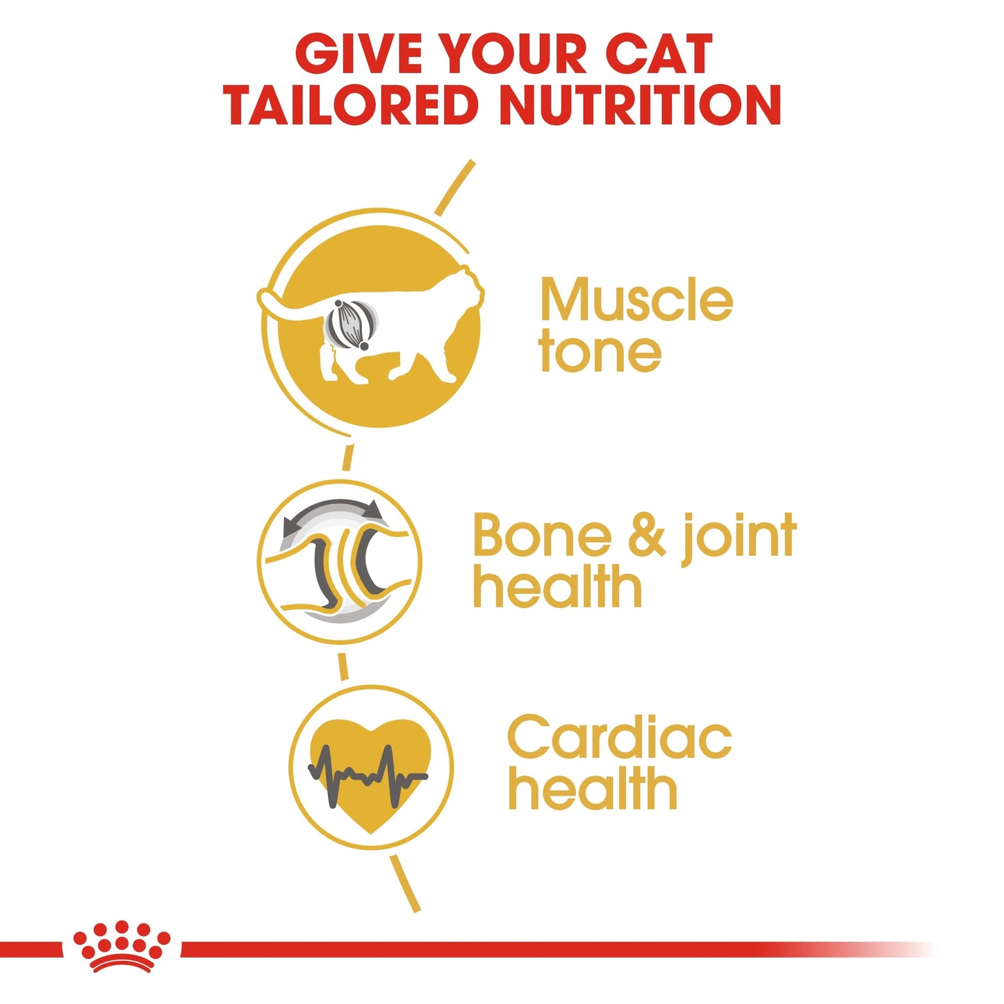 Royal Canin Feline Breed Nutrition British Shorthair Adult Dry Cat Food - 4kg
