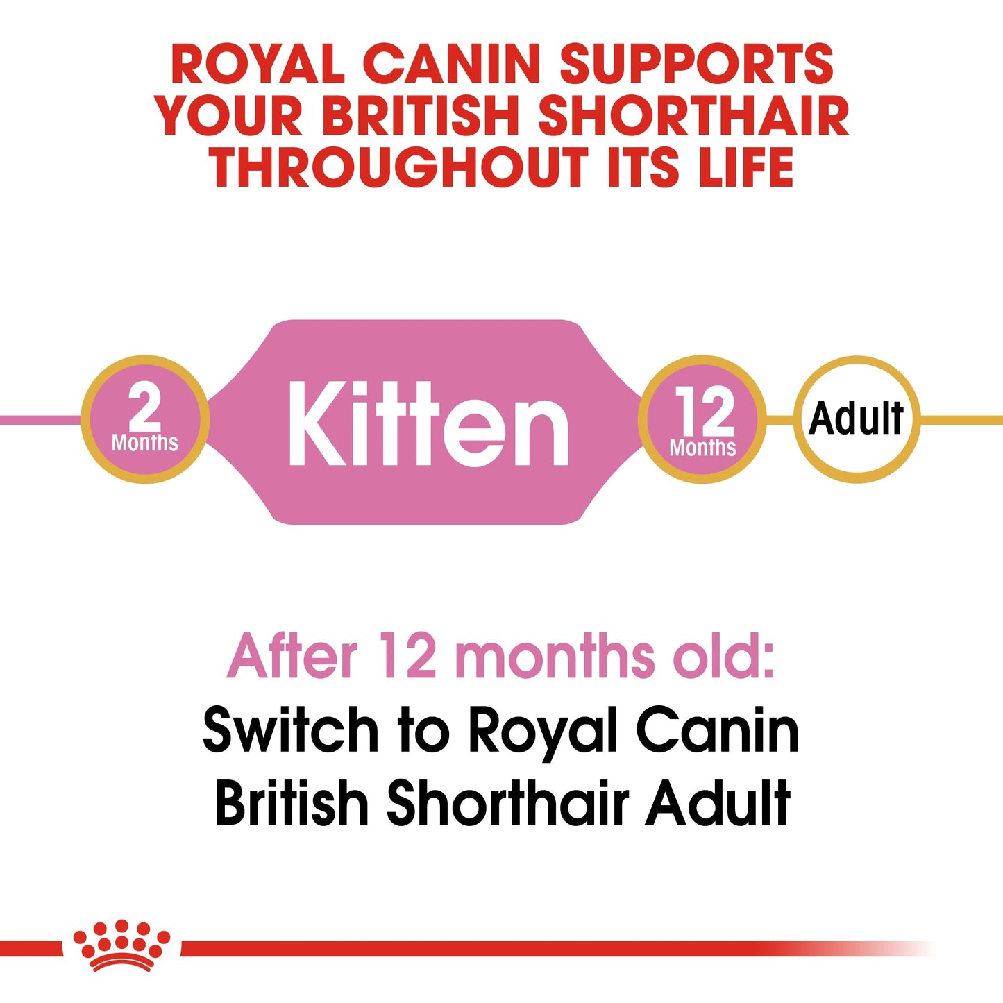 Royal Canin  Feline Breed Nutrition British Shorthair Kitten Dry Food 2 KG
