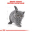 Royal Canin  Feline Breed Nutrition British Shorthair Kitten Dry Food 2 KG