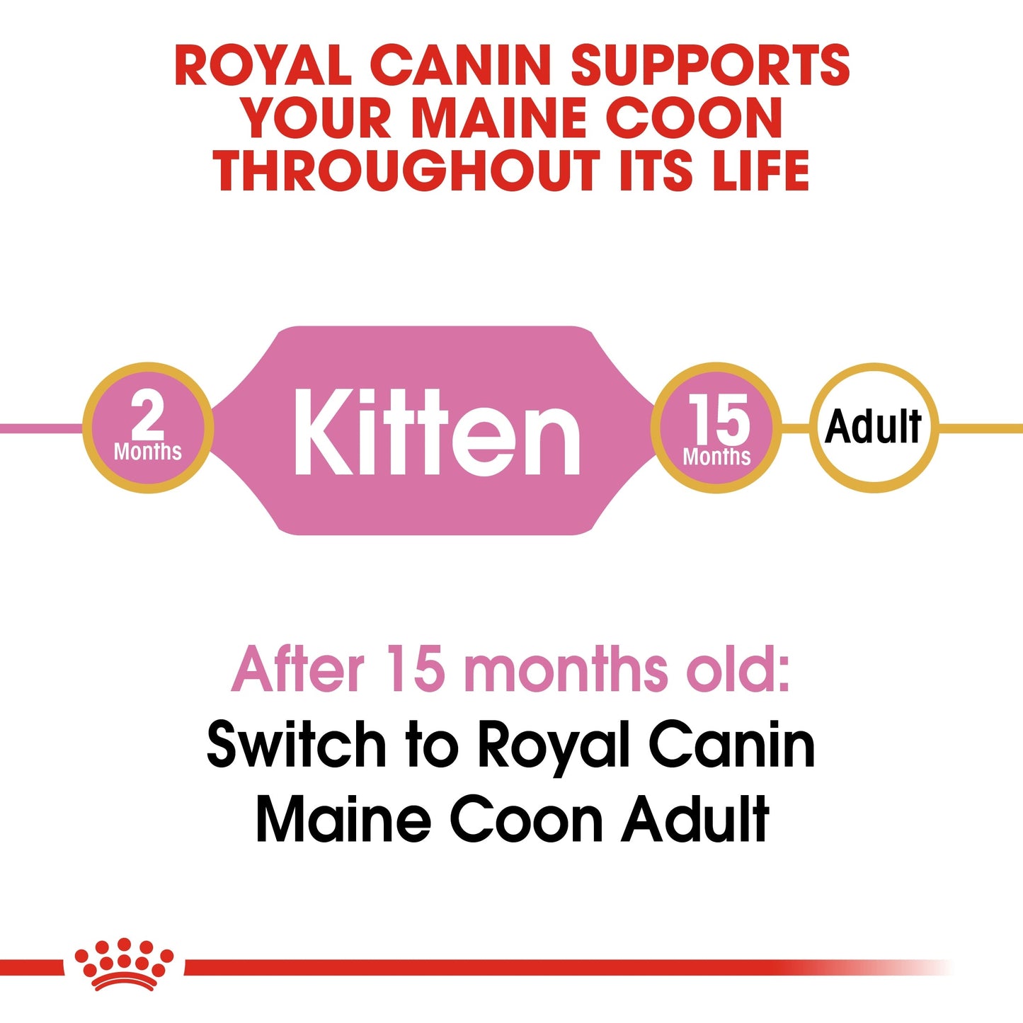Royal Canin  Feline Breed Nutrition Maine Coon Kitten Dry Food 2 KG