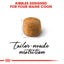 Royal Canin  Feline Breed Nutrition Maine Coon Adult Cat Dry Food 2 KG
