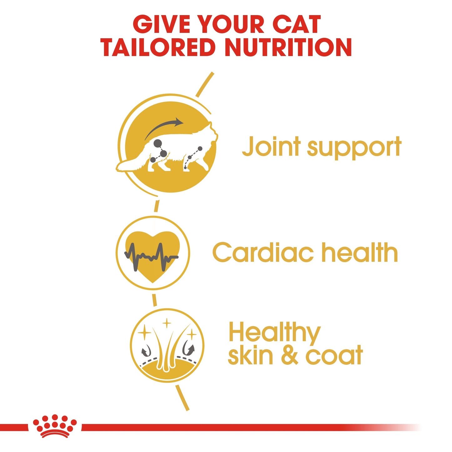 Royal Canin  Feline Breed Nutrition Maine Coon Adult Cat Dry Food 2 KG