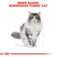 Royal Canin  Feline Breed Nutrition Norwegian Forest Cat Adult Dry Food 2 KG