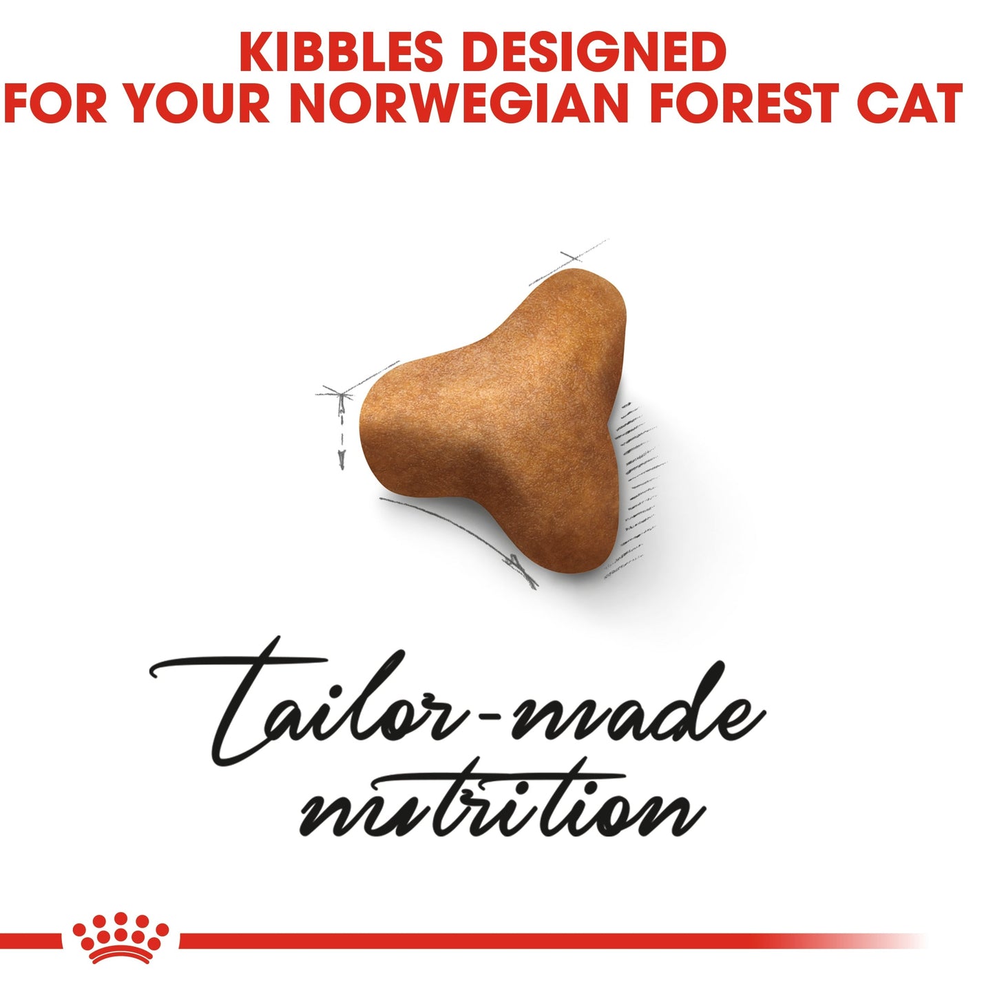 Royal Canin  Feline Breed Nutrition Norwegian Forest Cat Adult Dry Food 2 KG