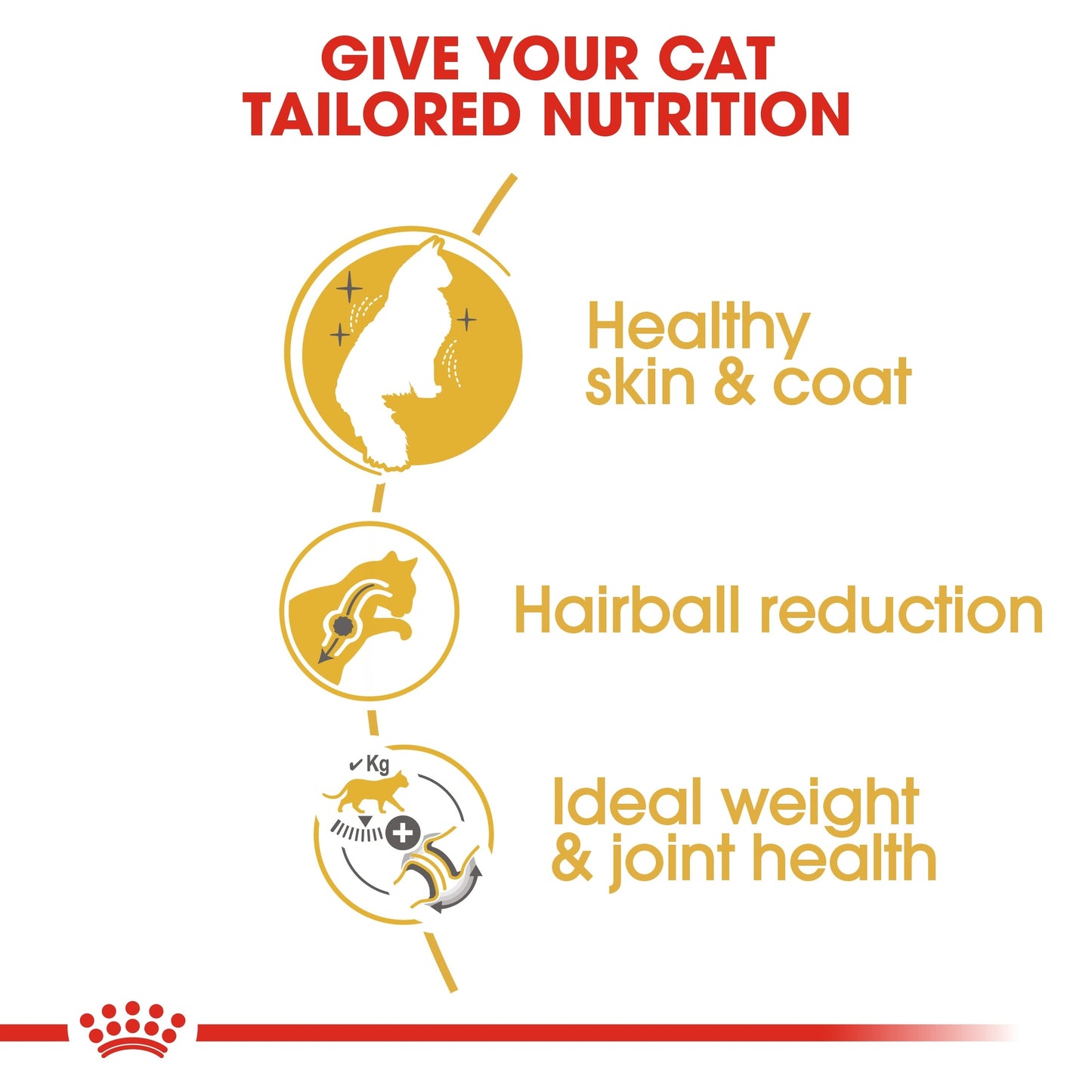 Royal Canin  Feline Breed Nutrition Norwegian Forest Cat Adult Dry Food 2 KG