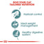 Royal Canin  Feline Care Nutrition Hairball Gravy (Cat Wet Food - Pouches)