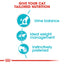 Royal Canin Feline Care Nutrition Urinary Care (Cat Wet Food - Pouches)