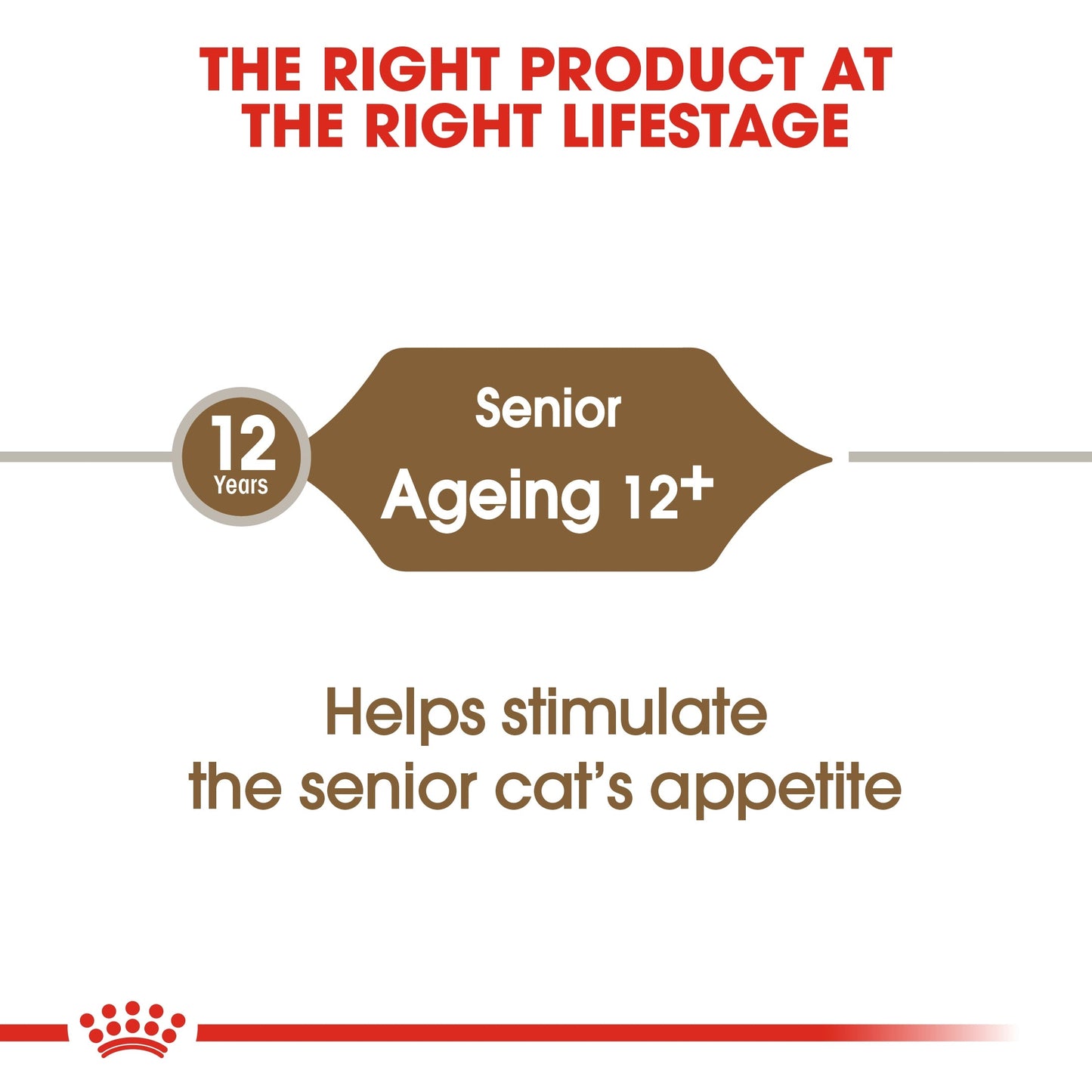 Royal Canin  Feline Health Nutrition Ageing 12 Years Cat Dry Food 2 KG
