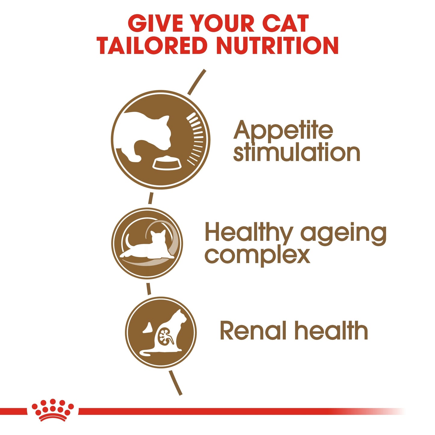 Royal Canin  Feline Health Nutrition Ageing 12 Years Cat Dry Food 2 KG